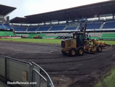 Stade-Rennais-pelouse