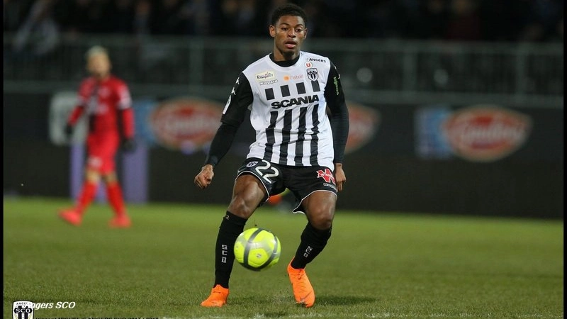 Jeff Reine Adelaide Lens